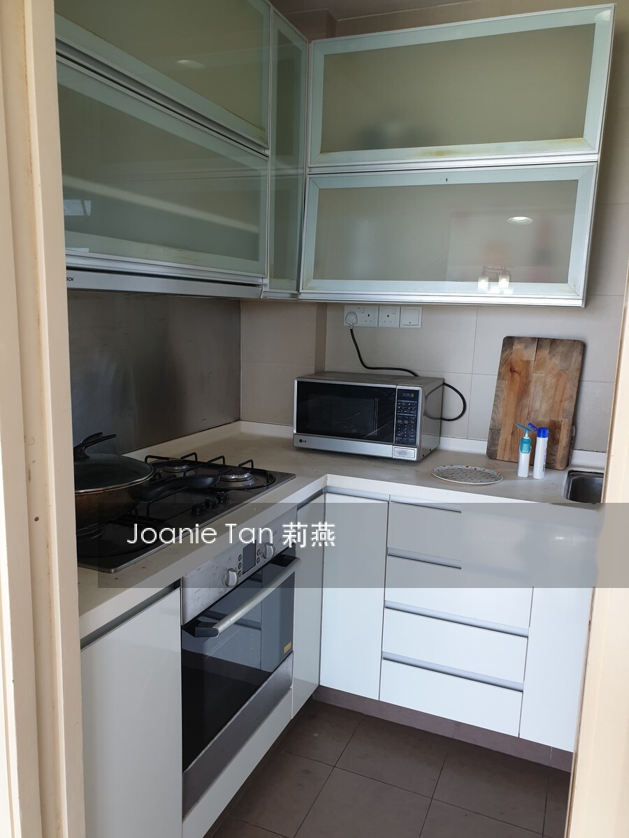 Meyer Residence (D15), Apartment #255200591